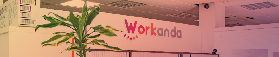 Grupo Workanda es un ecosistema de marcas que crecen juntas